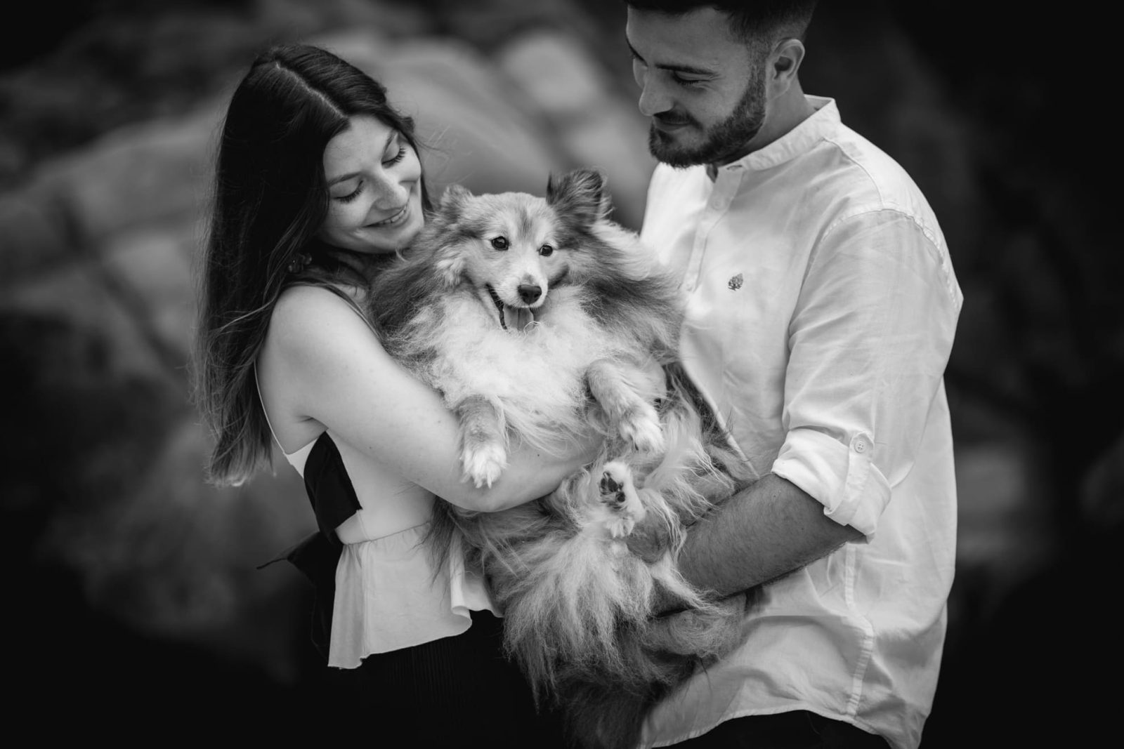Sesión de fotos con mascotas en Coruña