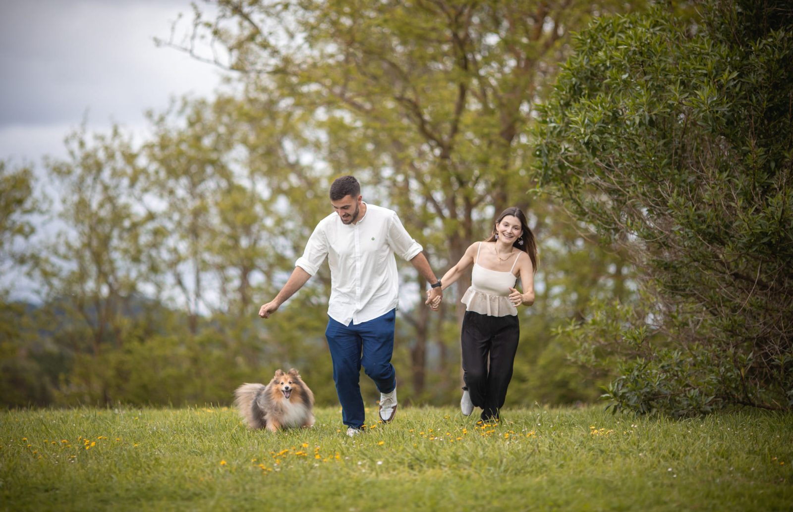 Sesión de fotos con mascotas en Coruña