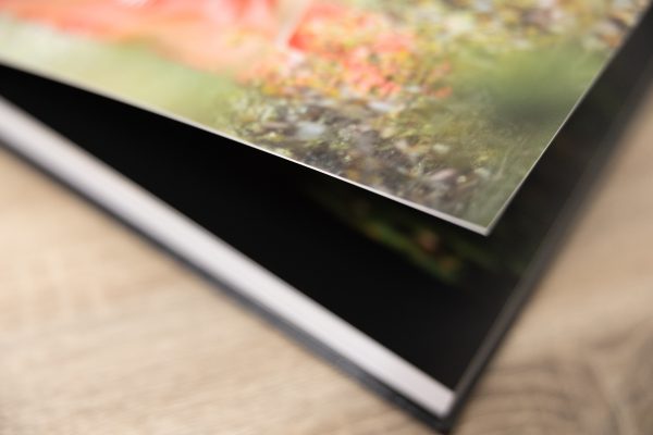 Un álbum personalizado de quinceañeras es la manera perfecta de darles vida.