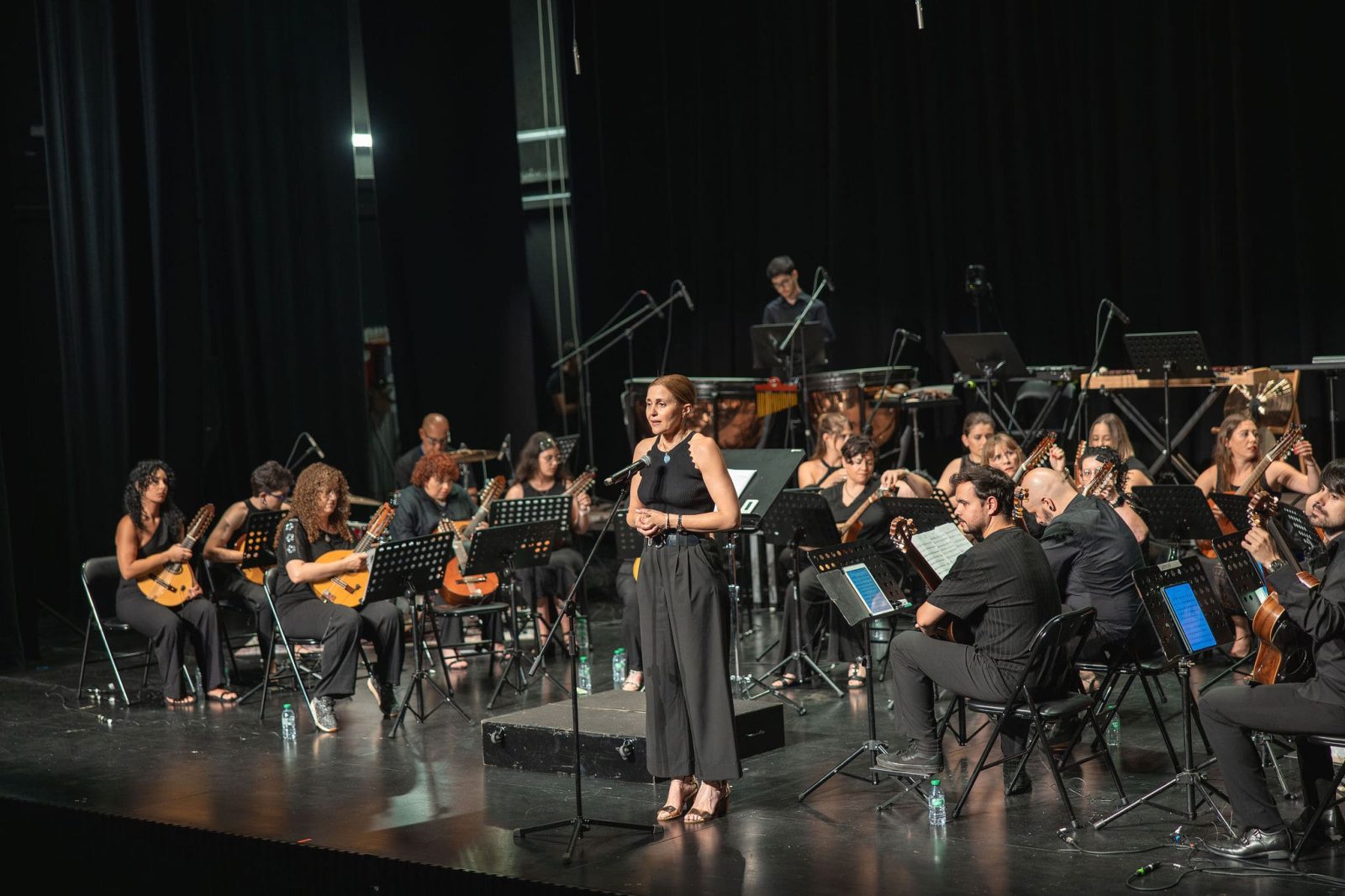 Fotógrafo de conciertos en Coruña